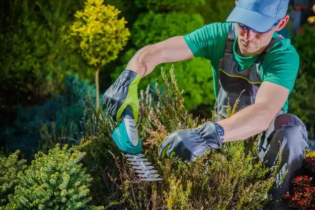landscaping services Raymond